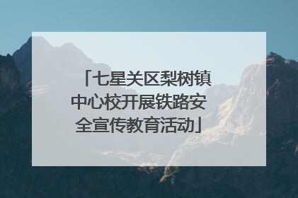 七星关区梨树镇中心校开展铁路安全宣传教育活动