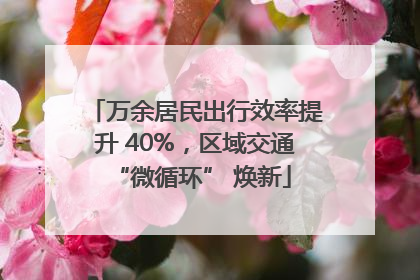 万余居民出行效率提升 40%，区域交通 “微循环” 焕新