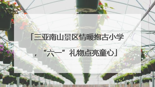 三亚南山景区情暖抱古小学，“六一”礼物点亮童心