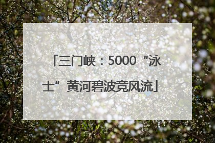 三门峡：5000“泳士”黄河碧波竞风流