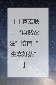 上官宏耿：“自然农法”培育“生态好茶”
