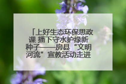 上好生态环保思政课 播下守水护绿新种子——房县“文明河流”宣教活动走进八一希望小学