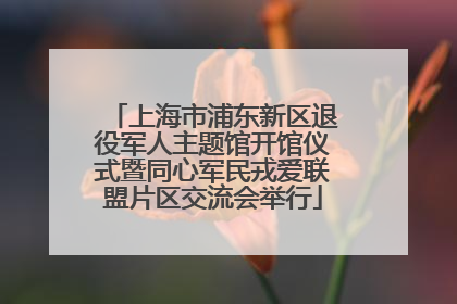 上海市浦东新区退役军人主题馆开馆仪式暨同心军民戎爱联盟片区交流会举行