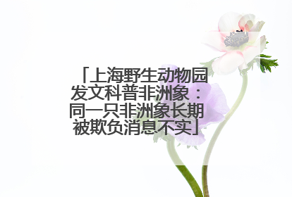 上海野生动物园发文科普非洲象：同一只非洲象长期被欺负消息不实
