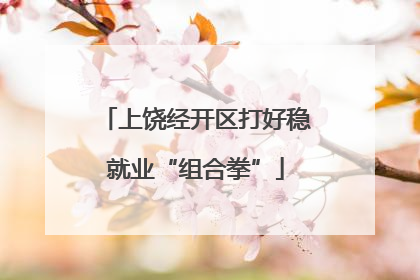 上饶经开区打好稳就业“组合拳”
