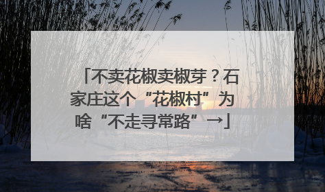 不卖花椒卖椒芽？石家庄这个“花椒村”为啥“不走寻常路”→