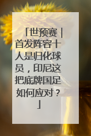 世预赛｜首发阵容十人是归化球员，印尼这把底牌国足如何应对？