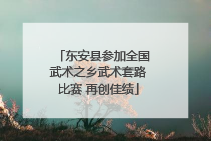 东安县参加全国武术之乡武术套路比赛 再创佳绩