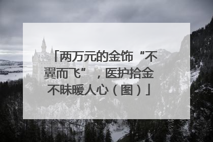 两万元的金饰“不翼而飞”，医护拾金不昧暖人心（图）