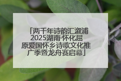 两千年诗韵汇溆浦 2025湖南·怀化屈原爱国怀乡诗歌文化推广季暨龙舟赛启幕