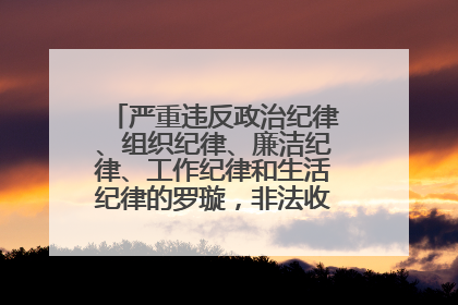 严重违反政治纪律、组织纪律、廉洁纪律、工作纪律和生活纪律的罗璇,非法收受他人巨额财物