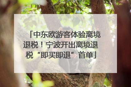 中东欧游客体验离境退税！宁波开出离境退税“即买即退”首单