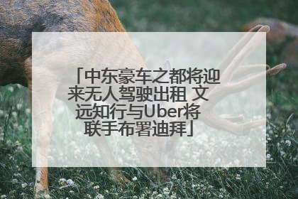 中东豪车之都将迎来无人驾驶出租 文远知行与Uber将联手布署迪拜