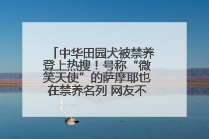 中华田园犬被禁养登上热搜！号称“微笑天使”的萨摩耶也在禁养名列 网友不解西安多部门回应