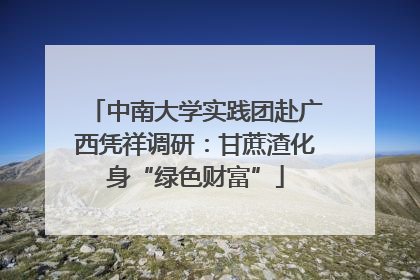 中南大学实践团赴广西凭祥调研：甘蔗渣化身“绿色财富”