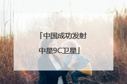 中国成功发射中星9C卫星