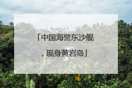 中国海警东沙舰，现身黄岩岛