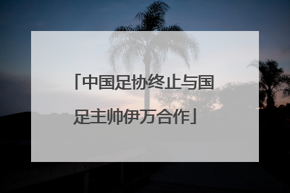 中国足协终止与国足主帅伊万合作