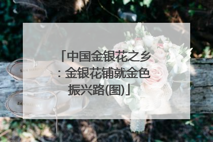 中国金银花之乡：金银花铺就金色振兴路(图)