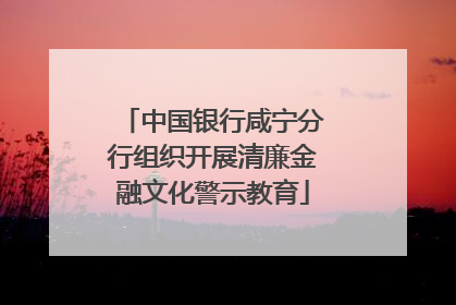 中国银行咸宁分行组织开展清廉金融文化警示教育