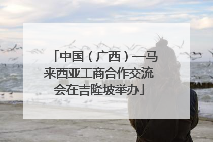 中国（广西）—马来西亚工商合作交流会在吉隆坡举办