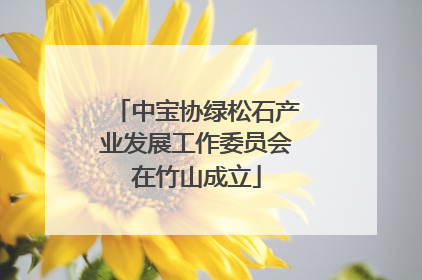中宝协绿松石产业发展工作委员会在竹山成立