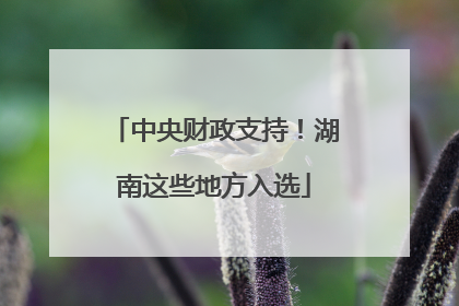 中央财政支持！湖南这些地方入选
