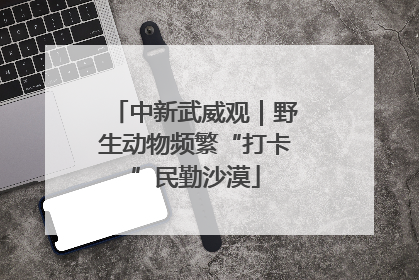 中新武威观｜野生动物频繁“打卡”民勤沙漠