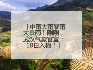 中雨大雨暴雨大暴雨！刚刚，武汉气象官宣：18日入梅！