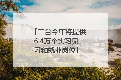 丰台今年将提供6.4万个实习见习和就业岗位