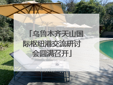乌鲁木齐天山国际枢纽港交流研讨会圆满召开