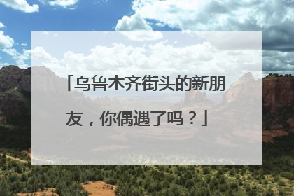 乌鲁木齐街头的新朋友，你偶遇了吗？
