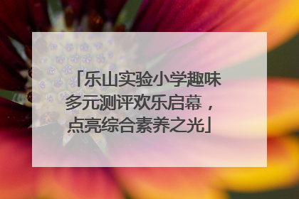 乐山实验小学趣味多元测评欢乐启幕，点亮综合素养之光