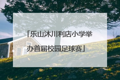 乐山沐川利店小学举办首届校园足球赛