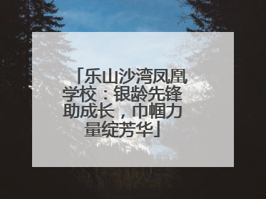 乐山沙湾凤凰学校：银龄先锋助成长，巾帼力量绽芳华