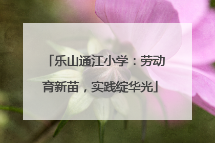 乐山通江小学：劳动育新苗，实践绽华光