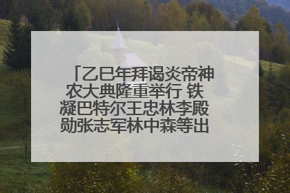 乙巳年拜谒炎帝神农大典隆重举行 铁凝巴特尔王忠林李殿勋张志军林中森等出席 孙伟主持