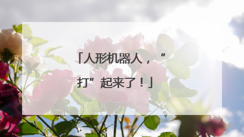 人形机器人，“打”起来了！