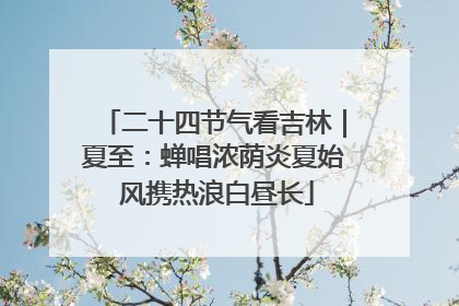 二十四节气看吉林｜夏至：蝉唱浓荫炎夏始 风携热浪白昼长