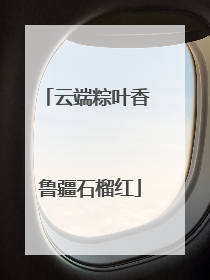 云端粽叶香 鲁疆石榴红