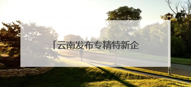 云南发布专精特新企业倍增三年行动计划