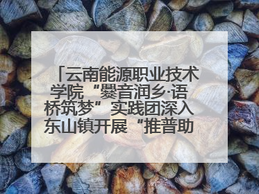 云南能源职业技术学院“爨音润乡·语桥筑梦”实践团深入东山镇开展“推普助力乡村振兴”暑期实践活动