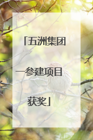 五洲集团一参建项目获奖