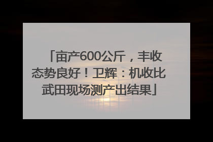 亩产600公斤，丰收态势良好！卫辉：机收比武田现场测产出结果