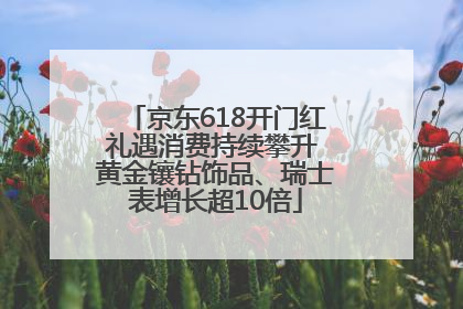 京东618开门红礼遇消费持续攀升 黄金镶钻饰品、瑞士表增长超10倍