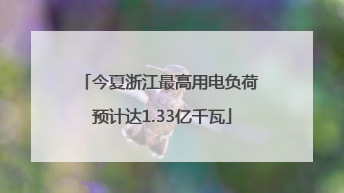 今夏浙江最高用电负荷预计达1.33亿千瓦