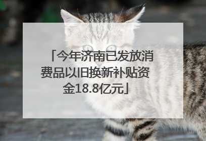 今年济南已发放消费品以旧换新补贴资金18.8亿元