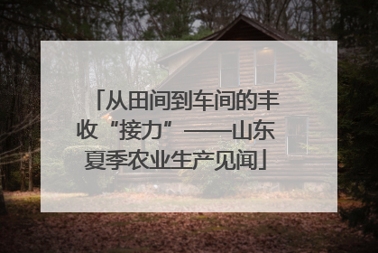 从田间到车间的丰收“接力”——山东夏季农业生产见闻