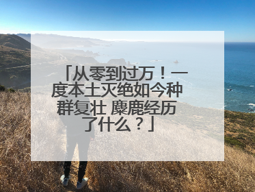 从零到过万！一度本土灭绝如今种群复壮 麋鹿经历了什么？