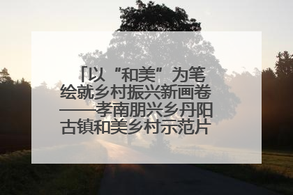 以“和美”为笔 绘就乡村振兴新画卷——孝南朋兴乡丹阳古镇和美乡村示范片区建设综述